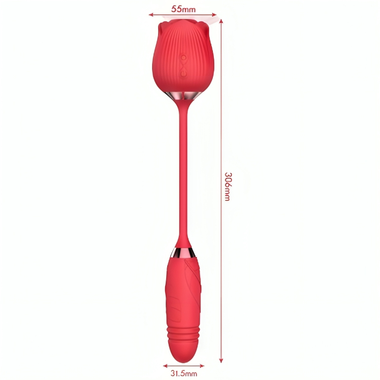 ARMONY - DELIGHT BLUME SAUGEN & STOSSEN ROT – Bild 3