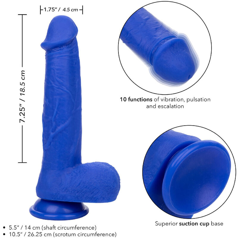 CALEXOTICS - ADMIRAL KAPITN REALISTISCHER DILDO-VIBRATOR BLAU – Bild 4