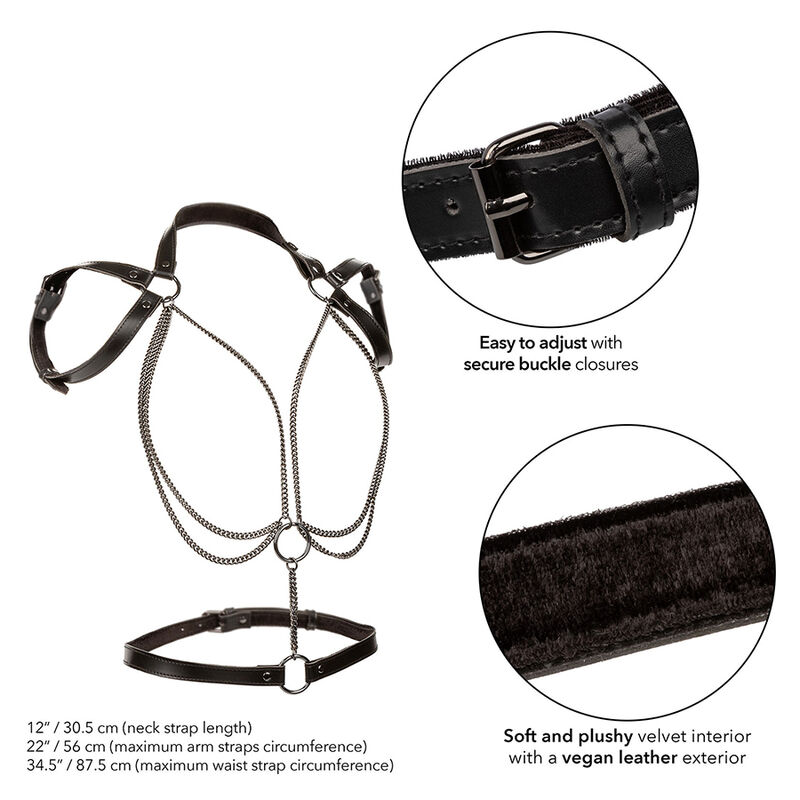 CALEXOTICS - EUPHORIA MULTICHAIN HALTER HARNESS PREMIUM – Bild 3