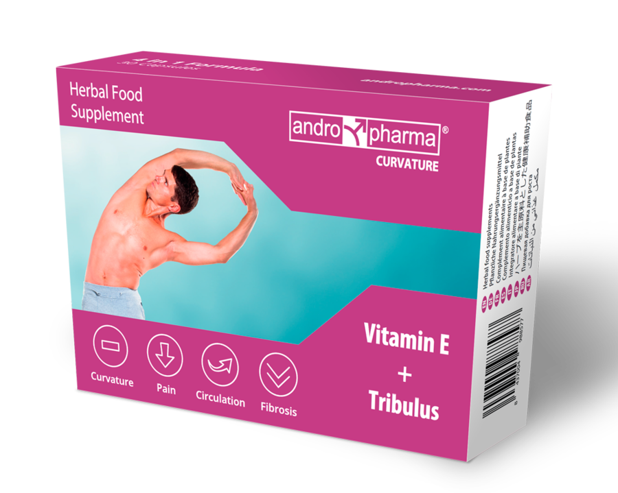 ANDROPHARMA - CURVATURE PEYRONIE-BEHANDLUNG – Bild 3