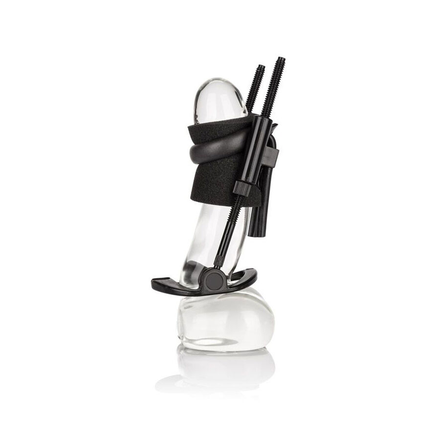 CALEXOTICS - PENISVERLNGER – Bild 5